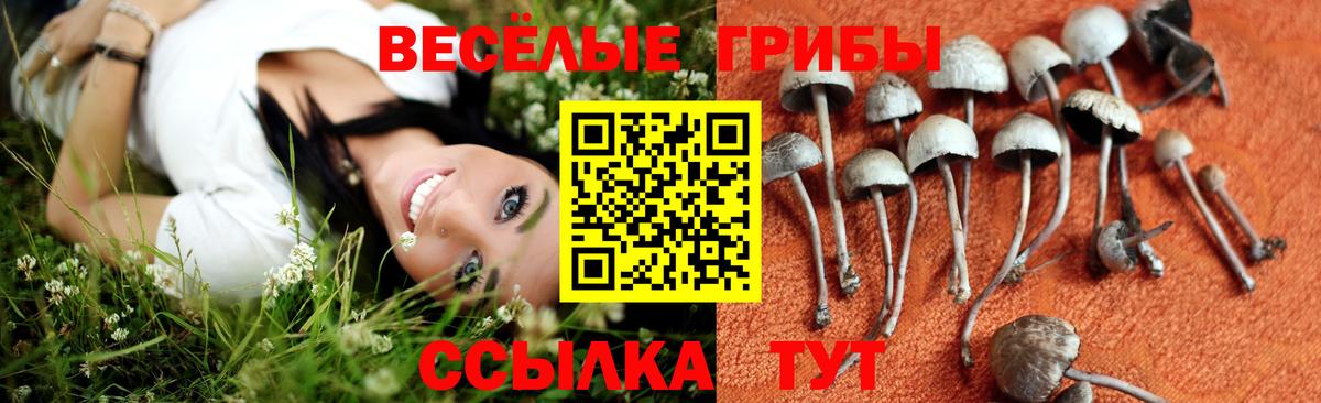 Псилоцибиновые грибы MAGIC MUSHROOMS  Вход с VPN  Нововоронеж  Псилоцибиновые грибы мухоморы 