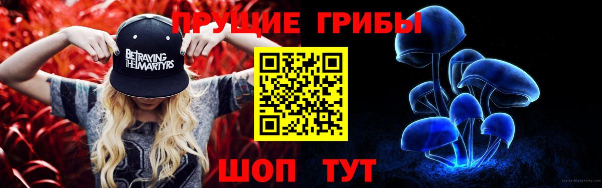 Псилоцибиновые грибы мицелий Нововоронеж
