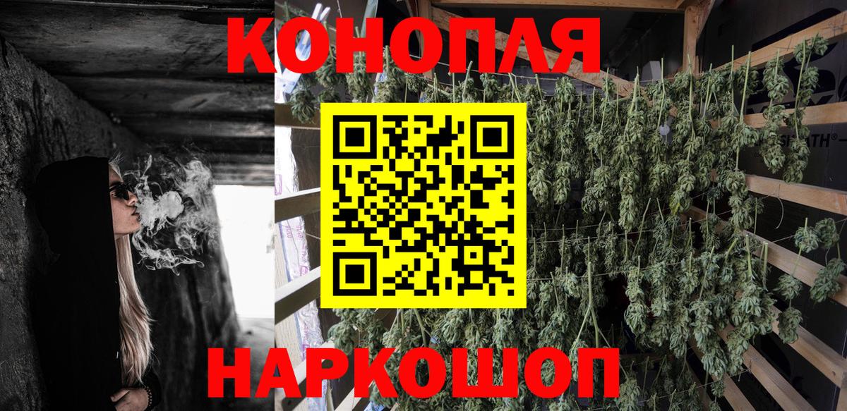 Каннабис OG Kush Нововоронеж